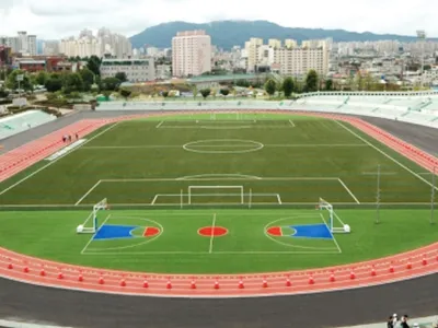 Football Turf