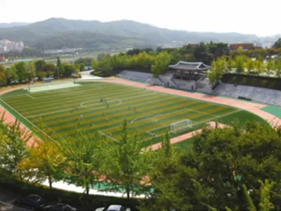 Football Turf