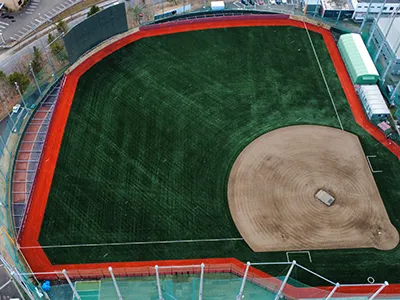 Baseball Turf