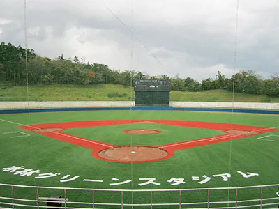 Baseball Turf