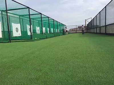Golf Course Turf
