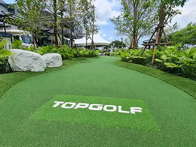 Putting Green Turf