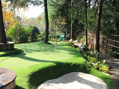 Putting Green Turf