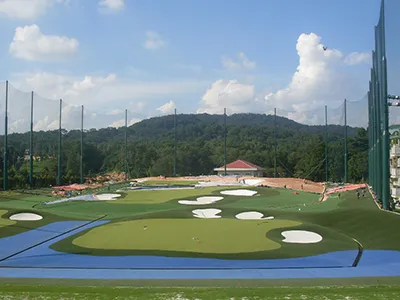 Bunker & Water Hazard Turf