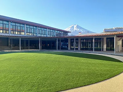 Landscape Artificial Grass