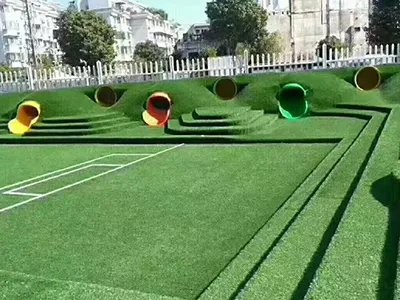 Non-Infill Multifunctional Turf