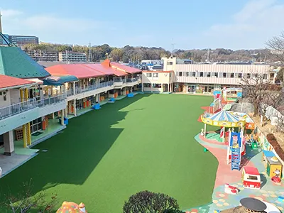 Non-Infill Multifunctional Turf