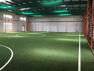 Non-Infill Multifunctional Turf