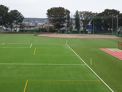 Non-Infill Multifunctional Turf