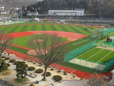 Baseball Turf