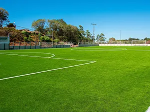 Soccer & Football