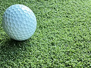 Golf Turf & Putting Greens