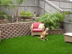 Pet Turf
