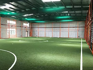 Non-Infill Artificial Turf