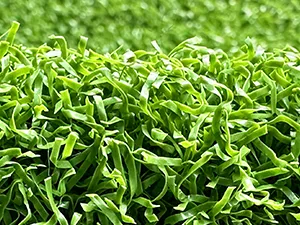 Golf Turf & Putting Greens