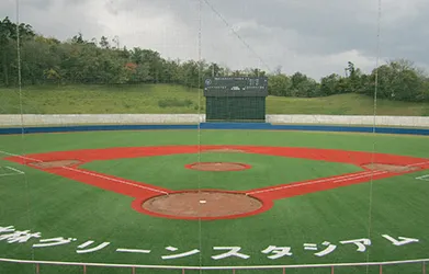 Mono-B 65 Baseball Artificial Turf
