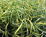 Mono-B 65 Baseball Artificial Turf