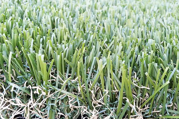 Commercial Turf