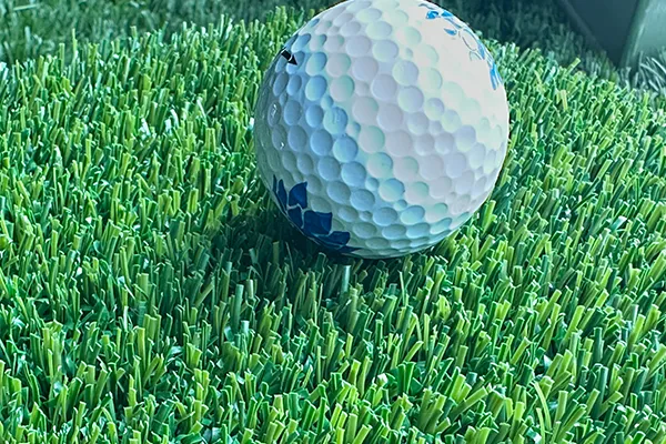 Golf Fairway Turf