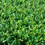 Stiff 25 Artificial Grass Golf Fairway Turf
