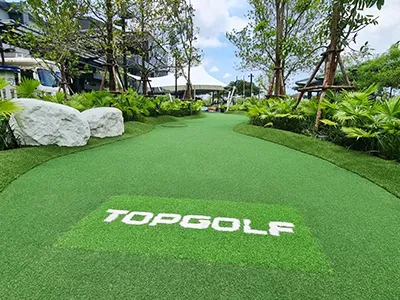 Golf Turf & Putting Greens