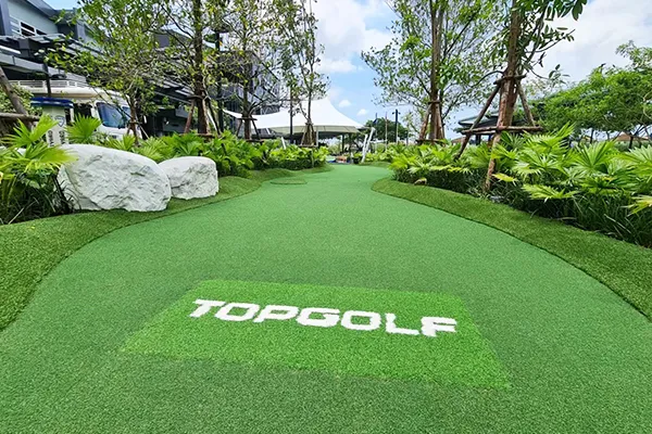 Golf Turf & Putting Greens