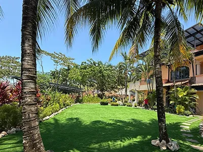 Landscape Turf