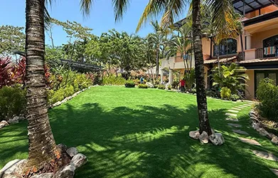 Artificial Landscape Turf