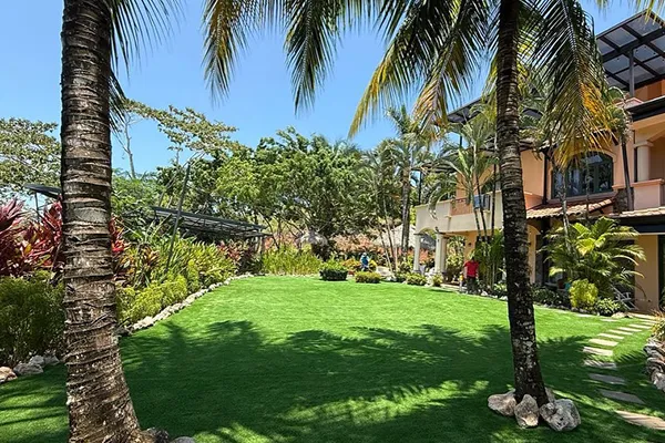Landscape Turf
