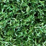 Artificial Multi-Sport Turf