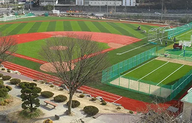 Artificial Multi-Sport Turf