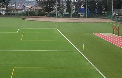 Artificial Multi-Sport Turf