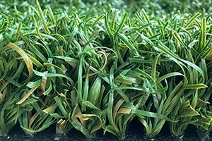 Multi-Sport Turf