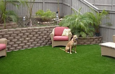Artificial Pet Turf