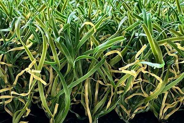 Playground Turf