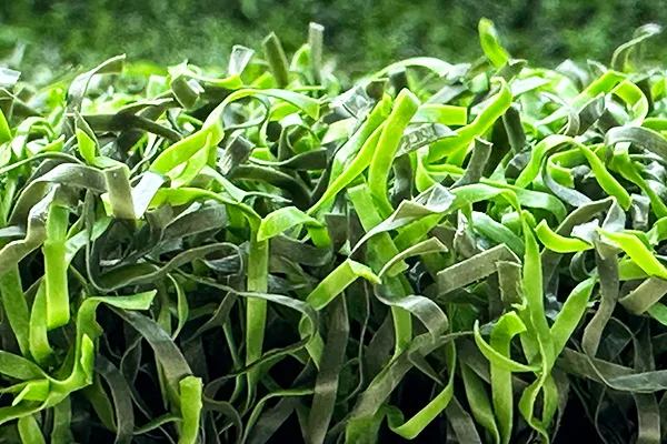 PP Series Non-Infill Putting Green