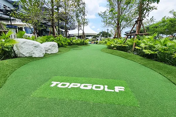 Putting Green Turf