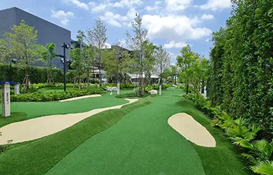 Synthetic Grass Putting Green Turf