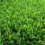Artificial Residential Turf