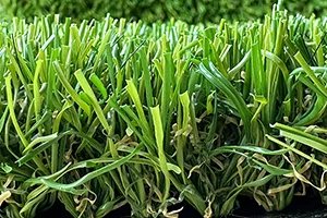 Residential Turf