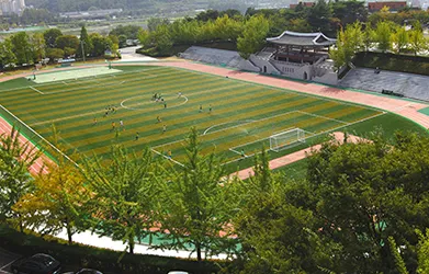 Soccer Fields & Football Pitches