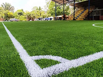 Sports Turf