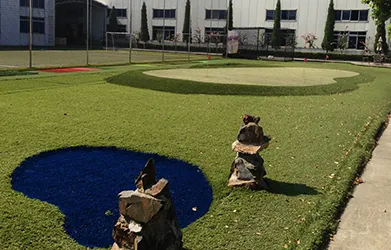 Synthetic Turf Bunker & Lake