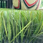 TenCate Synthetic Soccer Turf