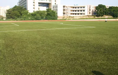 TenCate Synthetic Soccer Turf