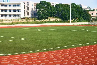 TenCate Synthetic Soccer Turf