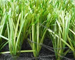 TenCate Synthetic Soccer Turf